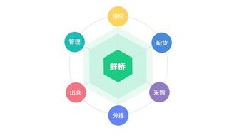 鮮橋訂貨軟件 賦能農產品流通，讓晝夜奔忙更從容